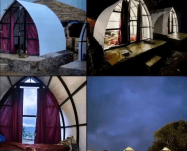 🏕️ lakeside resort stay near panshet dam (7)